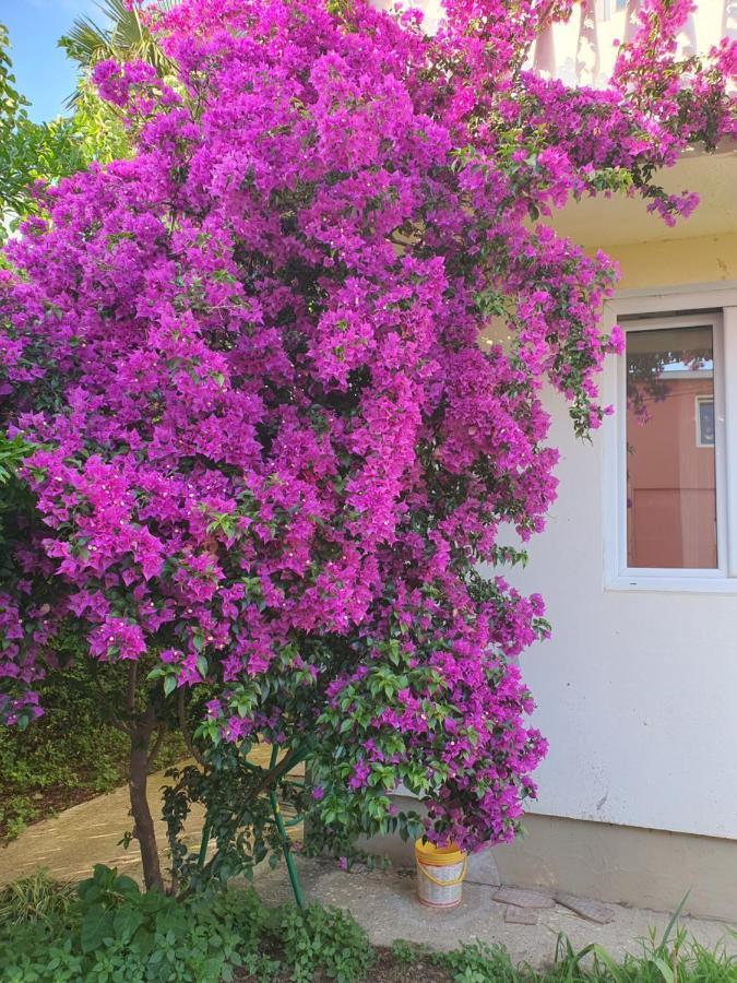 Villa Blanca Bar Εξωτερικό φωτογραφία